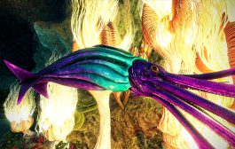 Tusoteuthis - Lvl 1082